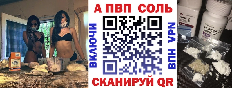 где можно купить   Нижние Серги  A PVP крисы CK 