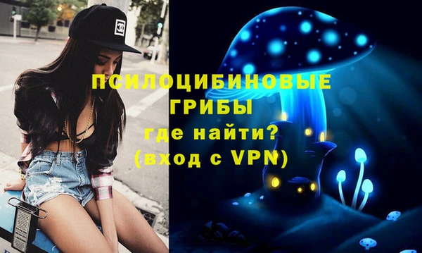 PSILOCYBIN Новозыбков