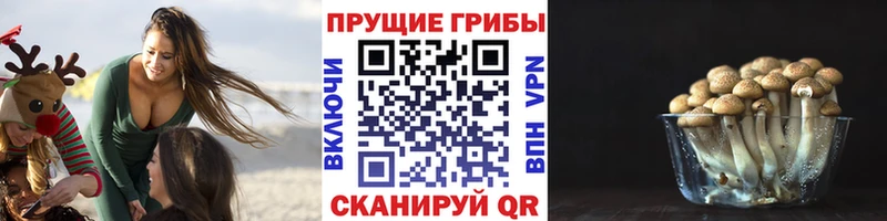 магазин  наркотиков  Нижние Серги  Галлюциногенные грибы прущие грибы 